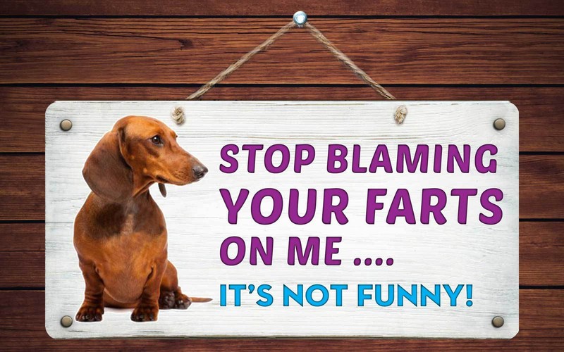 191HS Dachshund Stop Blaming Your Farts 5″x10″ Aluminum Hanging Novelty Sign