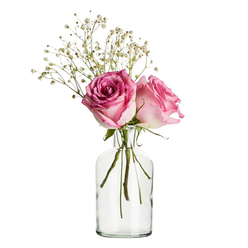 Farmlyn Creek Narrow Jar Vases - 2.8 In X 5 In 7.5 Oz 6 Pack Clear Glass - gallery