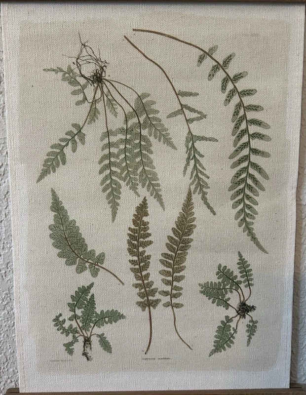 Rustic Fern Botanical Illustration Wall Hanging Linen Canvas Wood Slat Frame