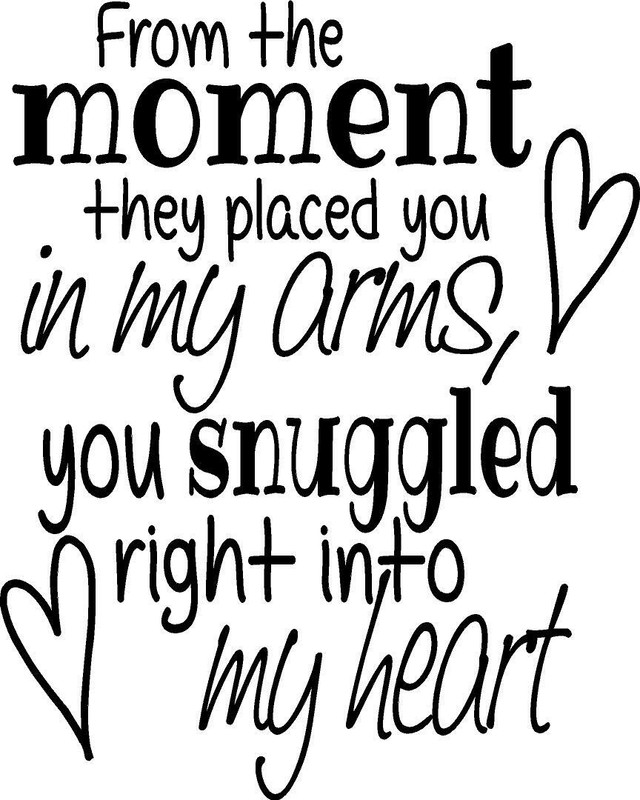 From The Moment They Placed You in my Arms… Vinyl Decal Home Décor 12″ x 15″