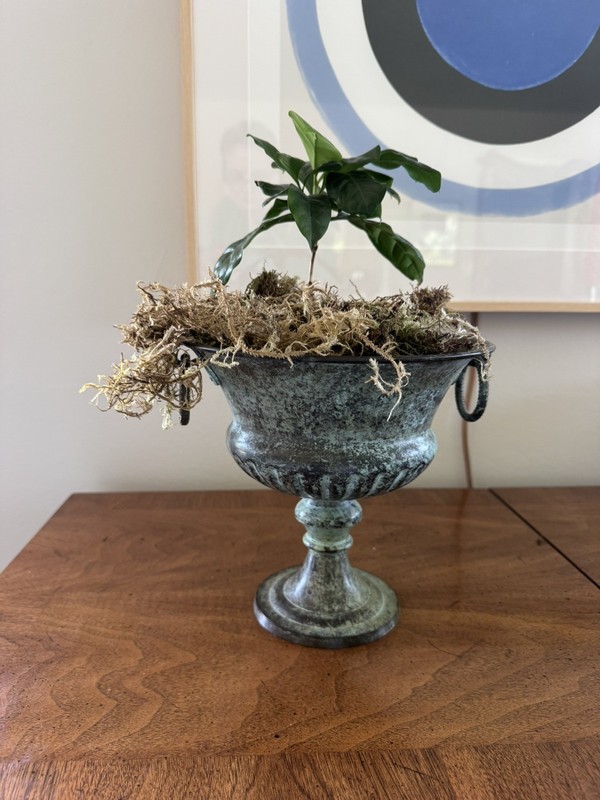 Cast Metal Iron Pedestal Planter Urn Vase, Great Patina & Detailed Ring Handles