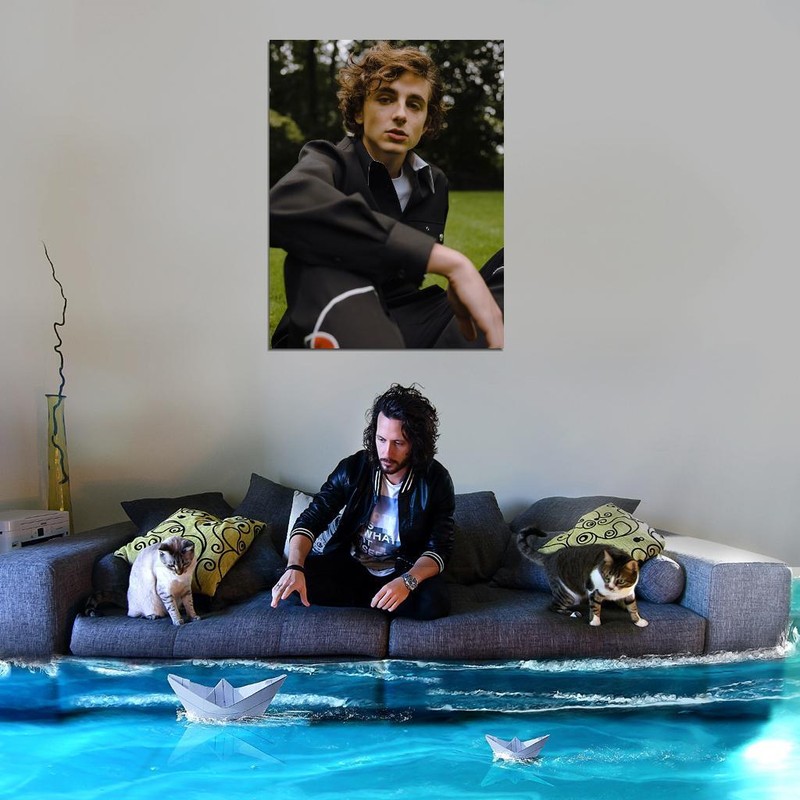 V8335 Timothee Chalamet Cool Portrait Nature Handsome Actor WALL POSTER PRINT CA gallery