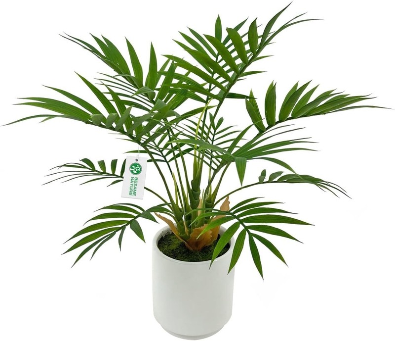 Instantly Beautify Spaces with Our 12-Inch Artificial Palm Plant - Easy Care! gallery