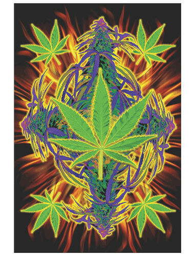 Flaming Leaf - Joseph Charron Poster 24in x 36in gallery