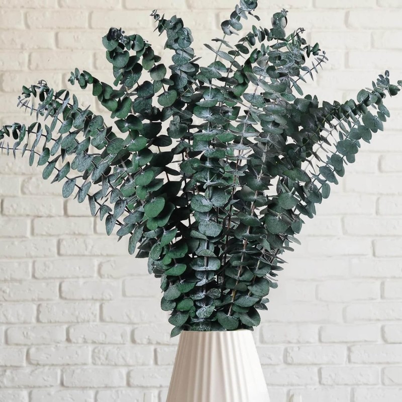 12 Pcs Preserved Dried Eucalyptus Stems, 17″ Natural Branches for Shower Hanging