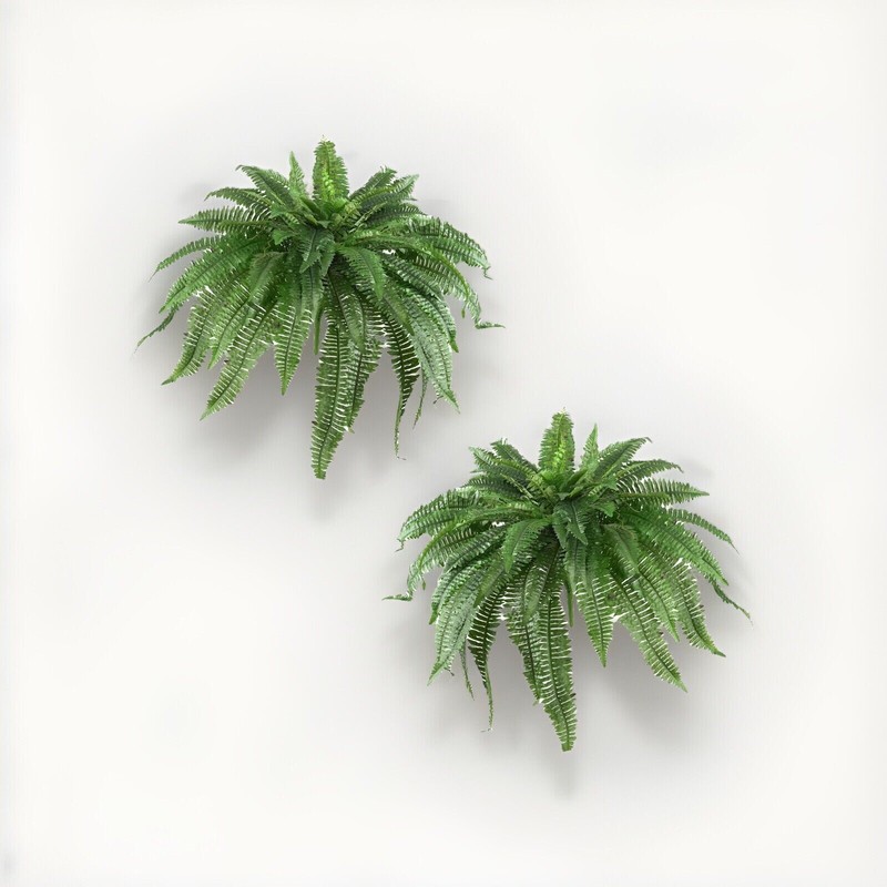 48″ Boston Fern Artificial Bush Plant Pack 2. Retail $103