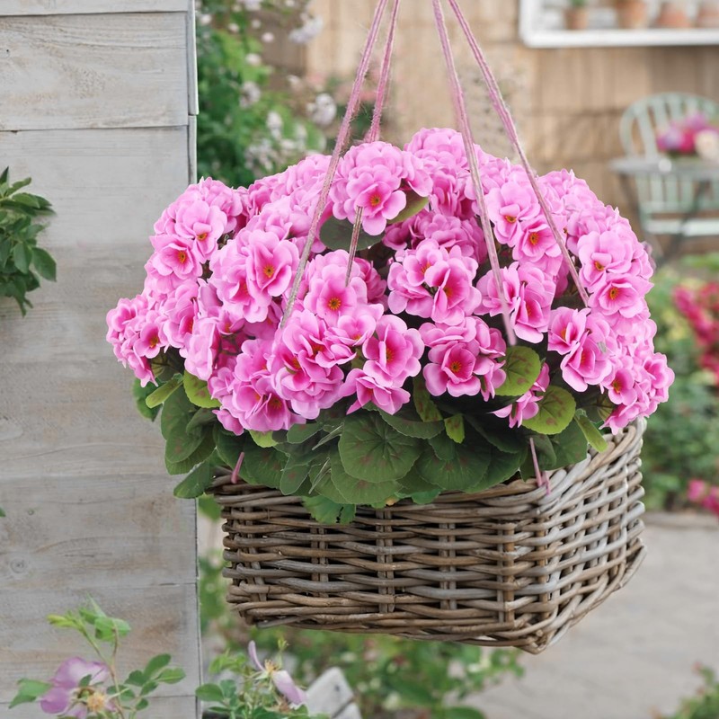 8 Pcs Artificial Geraniums Flowers Silk for Outdoors UV Resistant Artificial ... gallery