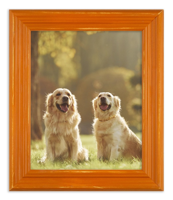 Distressed Lucy - Burnt Orange Picture Frame - Solid Wood gallery