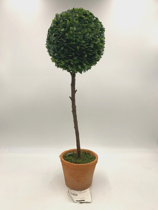 Pottery Barn Faux Potted Boxwood Ball Topiaries Green Medium #S9017