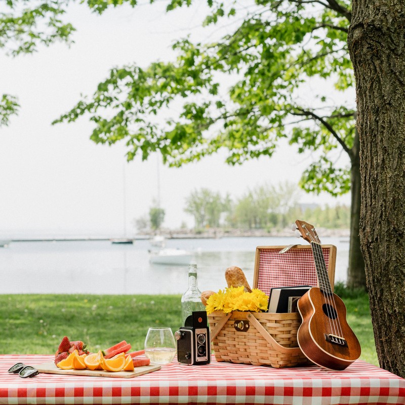 New Gingham Lined Woodchip Picnic Basket With Lid and Movable Handles gallery