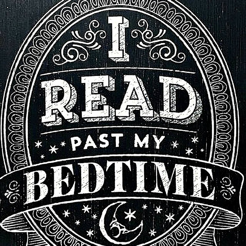 Book Lover Decor Wooden Art Box Sign I Read Past My Bedtime Sixtrees 10" x 12" gallery