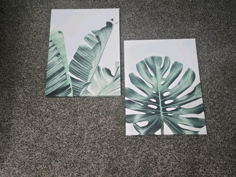 Set of 2 Canvas Wall Art Leaf Plant Pictures Tropical Home Decor