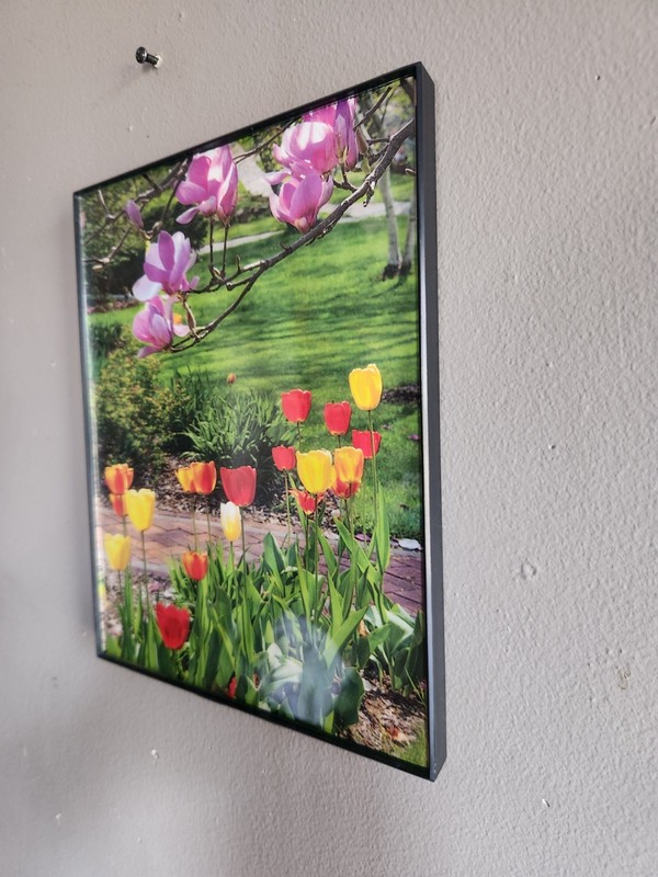Beautiful Print of Tulips in a MCS Industries Picture Frame • 10⅛"×8⅛" gallery