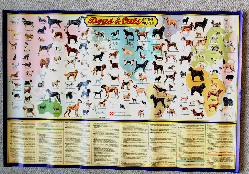 DOGS AND CATS OF THE WORLD 1973 PICTORIAL ART POSTER by Ralston Purina gallery