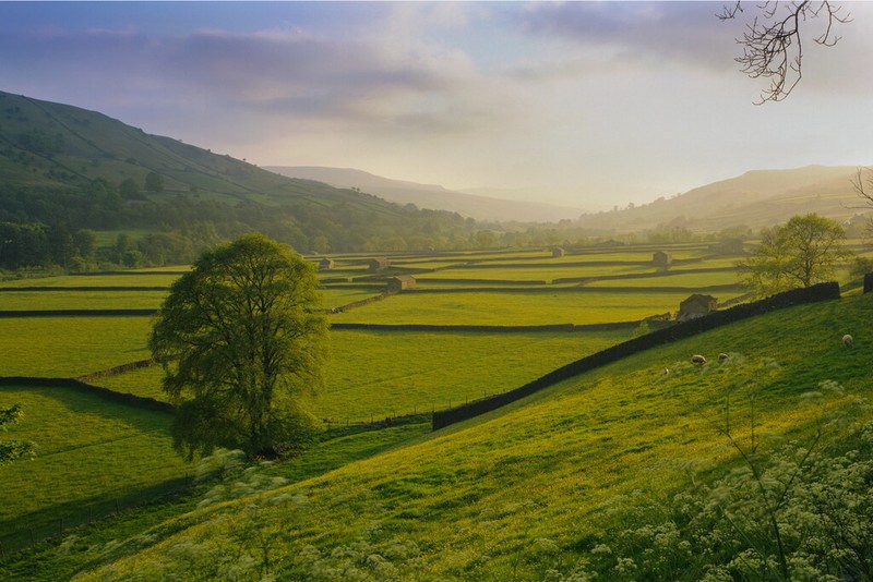 Rolling Hills And Pastures In Rural Yorkshire Landscape Photo Poster 18×12