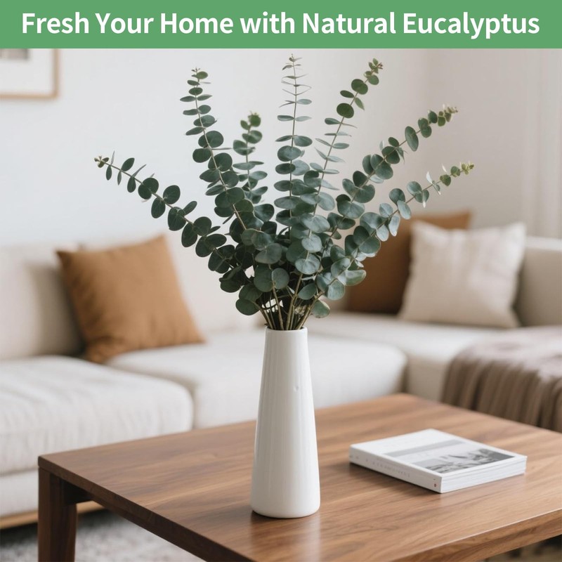 12PCS Dried Eucalyptus Bundle 17'' Real Eucalyptus Stems 100% Natural Fresh L... gallery