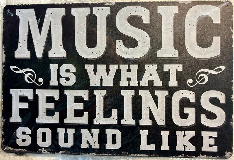 TIN SIGN 8×12 Music Musicians Songs Feelings Sounds Quote Instruments DD19