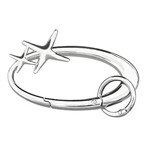 2Pcs Star Carabiner Keychain Key Ring Cool Shiny Chrome Extra-Large Alloy gallery