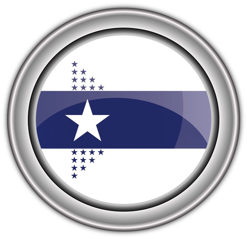 Illinois Centennial USA State Flag Silver Badge Car Bumper Sticker Decal “SIZES”