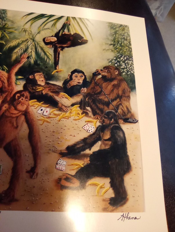 HIGH ROLLER MONKEYS, GORILLAS & MORE PICTURE GREAT FOR ANY COLLECTION! gallery