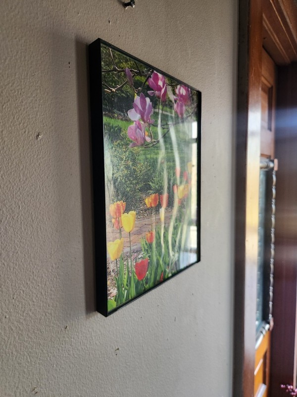 Beautiful Print of Tulips in a MCS Industries Picture Frame • 10⅛"×8⅛" gallery
