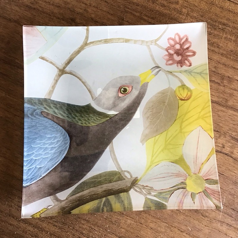 Botanical John James Audubon’s Birds of America Decorative Glass Tray (8”x8”)