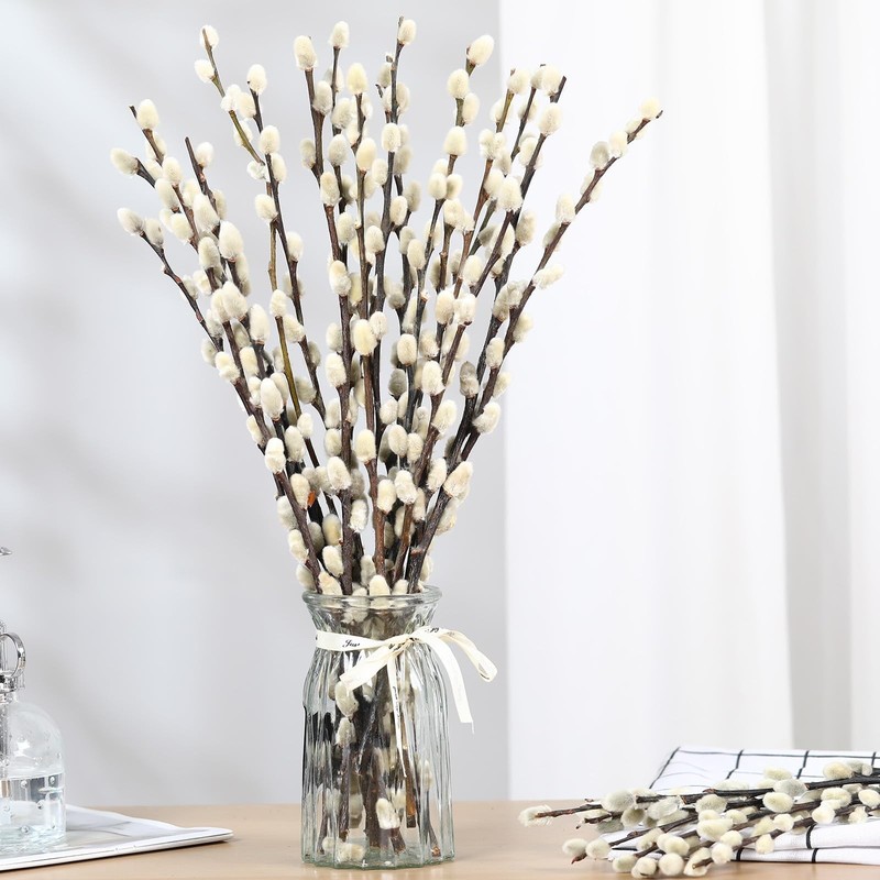 Dried Pussy Willow Branches - 25 Stems, 17" Natural Decor for Vases & Weddings gallery