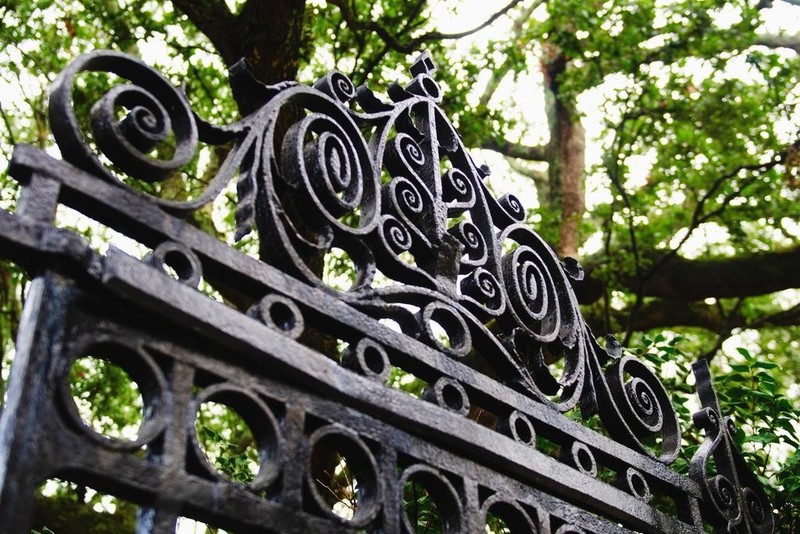 Close Up of Ornate Iron Gate Charleston Photo Art Print Poster 24×36 inch
