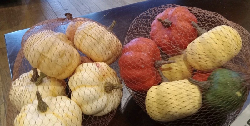 16 Pcs Assorted Fall Artificial Pumpkins Harvest Faux Pumpkins Rustic Farmhouse