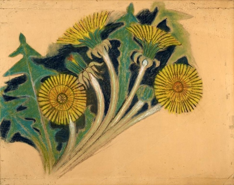 Dandelions – Stanisław Wyspiański (1896) – Botanical Study Art Print Decor