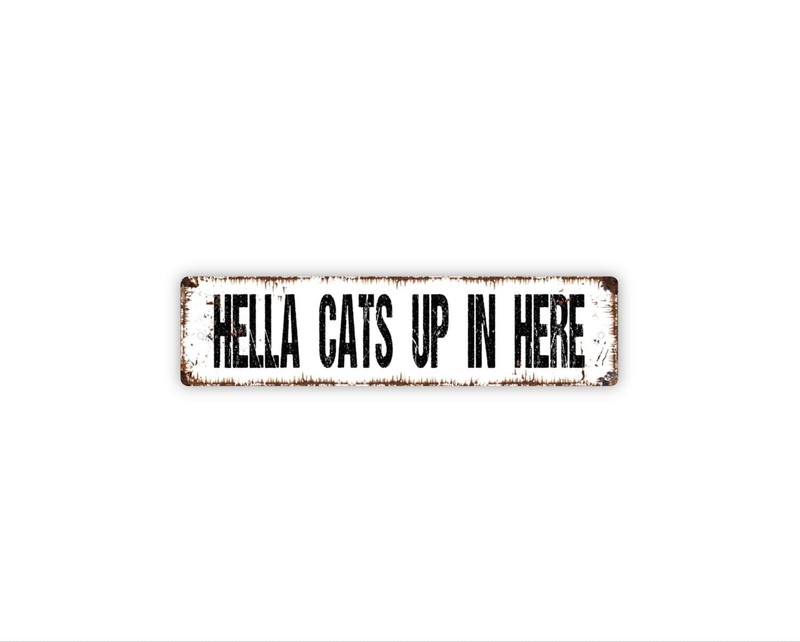Hella Cats Up In Here Sign | Funny Cat Lover Wall Art | Pet Owner Home Decor