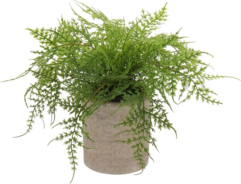 Small Fake Plant Potted Plants Artificial Decor Plastic Asparagus Ferns Plant Fa