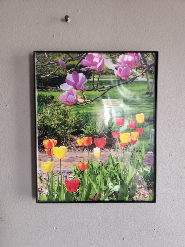 Beautiful Print of Tulips in a MCS Industries Picture Frame • 10⅛”×8⅛”