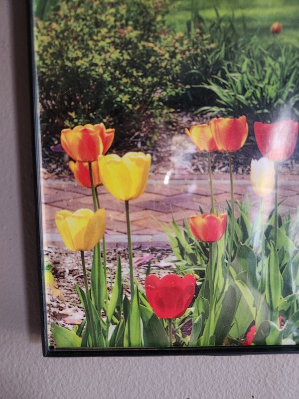 Beautiful Print of Tulips in a MCS Industries Picture Frame • 10⅛"×8⅛" gallery