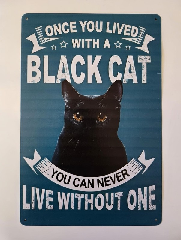 Black Cat Metal Sign 8x12 Once You Lived With A Black Cat You Can Never Live Wit gallery