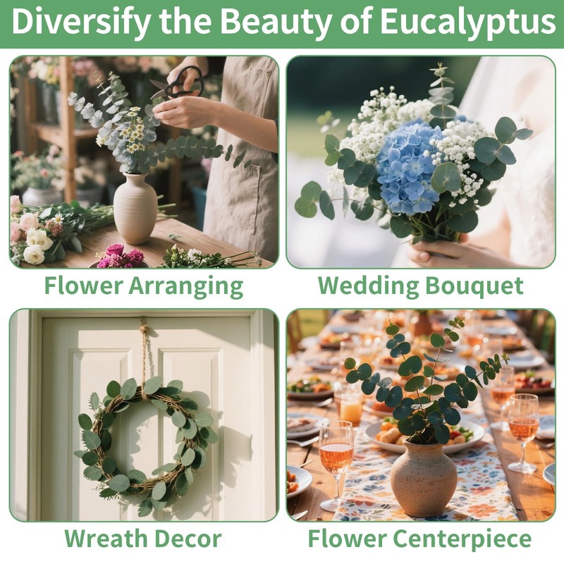 12PCS Dried Eucalyptus Bundle 17'' Real Eucalyptus Stems 100% Natural Fresh L... gallery