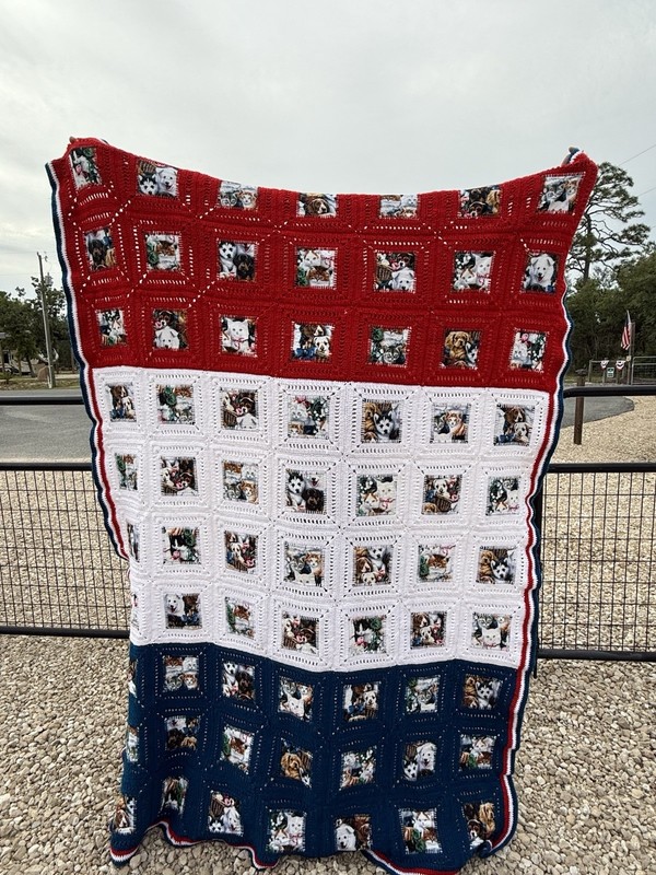 Handmade Crochet Afghan Americana Red White Blue Puppy Cat Granny Square Blanket