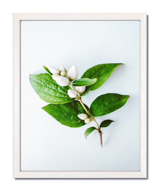 12×16 EcoLine White Picture Frame with Clear Glass & Backing
