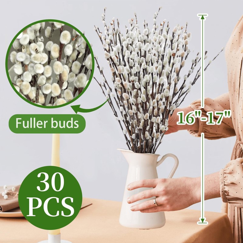30 Stems Real Dried Pussywillow Preserved Greenery Branches for Vase Natural ... gallery