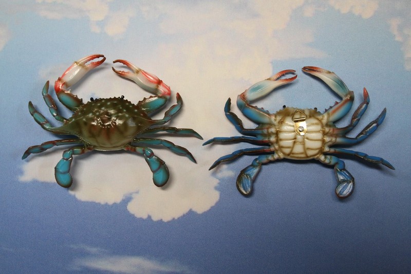 2-BLUE CRABS,Species Correct ,6 Inch Crabs,Lightweight Wall Hanging,Beach Decor
