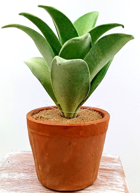 Succulent Clay Pot Planter Artificial Faux Dirt Foam Plastic Green Floral 7x2.5"