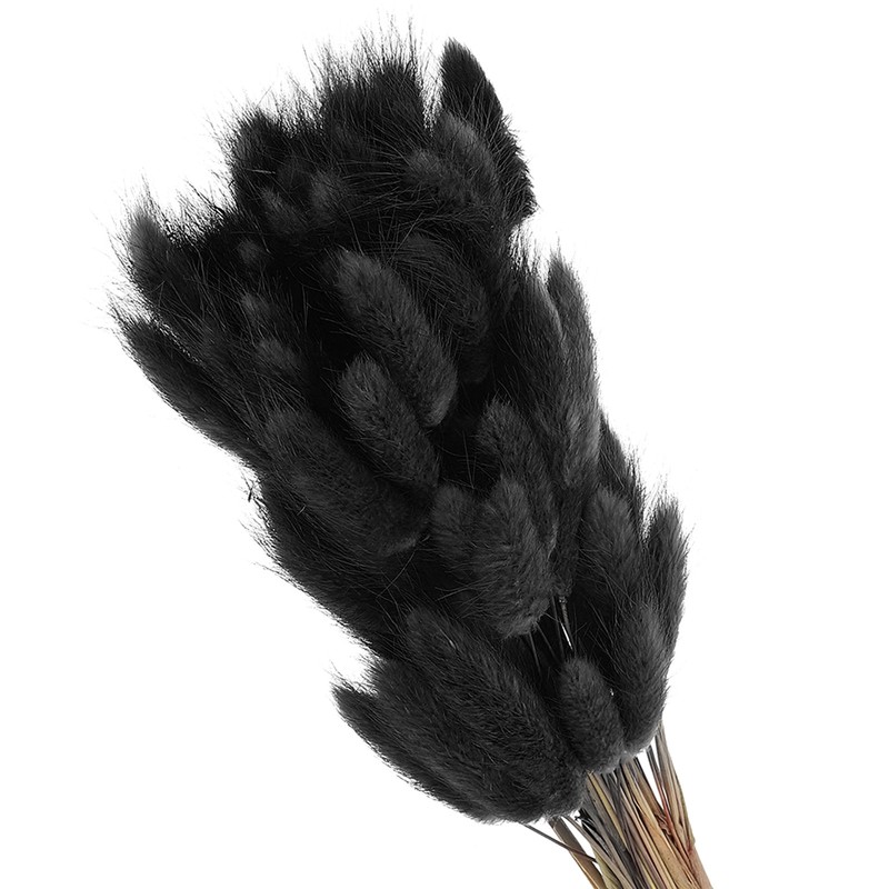 15.7in Bunny Tails Dried Flowers 70pcs Pampas Grass Decor, Black