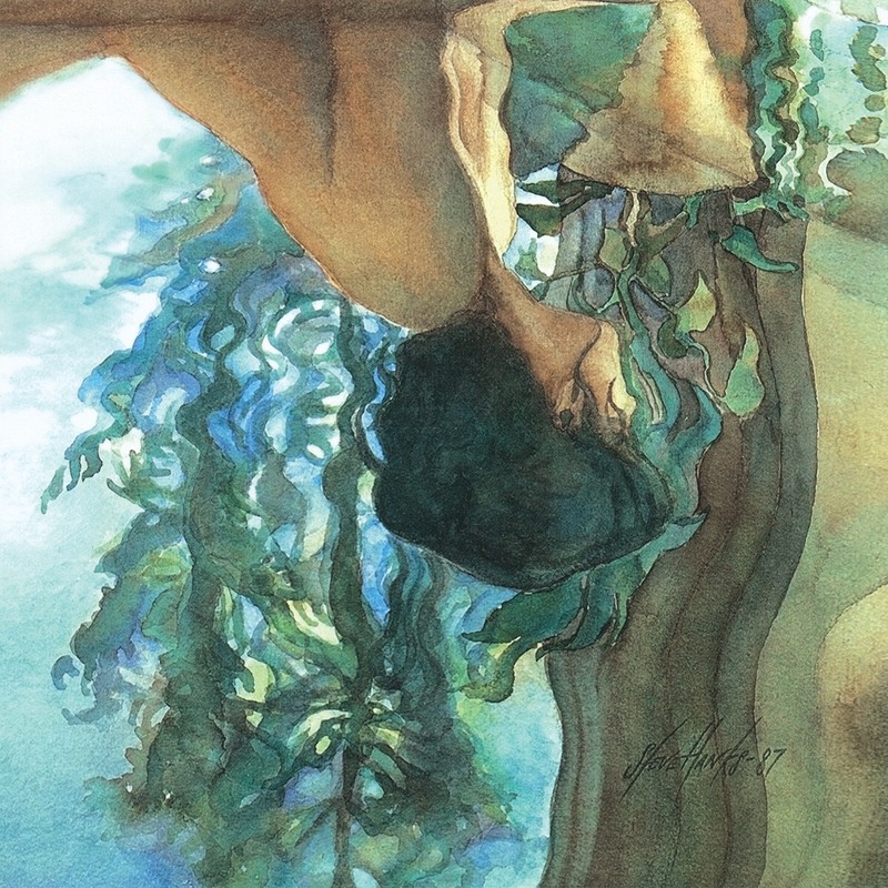 20W"x28H" REFLECTING by STEVE HANKS -BATH SHOWER Subject Nudes CHOICES of CANVAS gallery