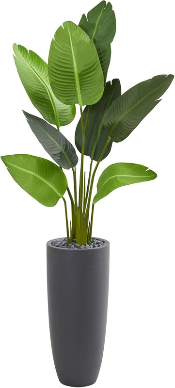 5.5Ft Travelers Palm Artificial Tree in Stylish Gray Planter