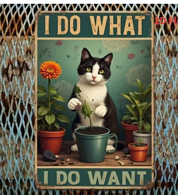 Garden Planting Cat I Do What I Want Funny Wall Decor Metal Art Sign 8×12