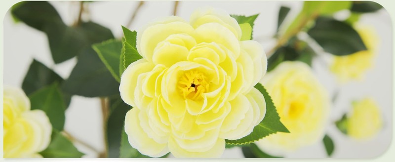 5FT Lush Artificial Yellow Camellia Tree Outdoor 2 Pack, 60inch Faux Camellia gallery