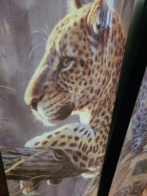 Big Cats Safari Cheetah Lion Africa Large Pair Plastic Concave Canvas 34.25"x11" gallery