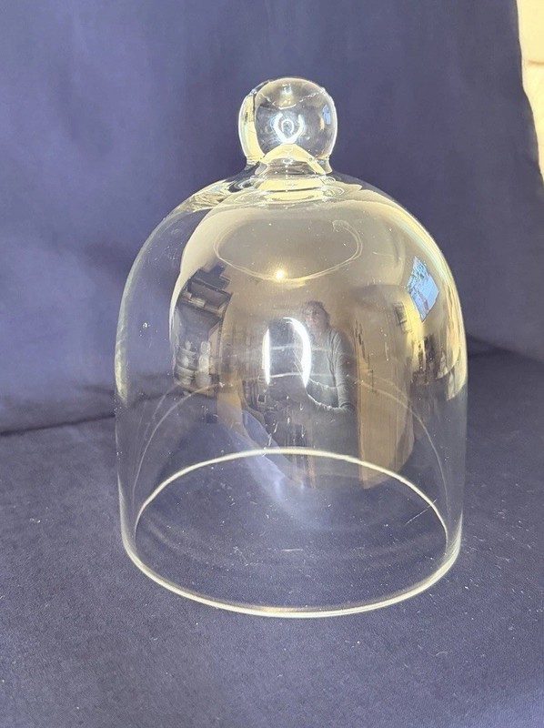 Vintage Cloche Jar 7″ Clear Glass Display Dome with Knob Cheese Plant Food