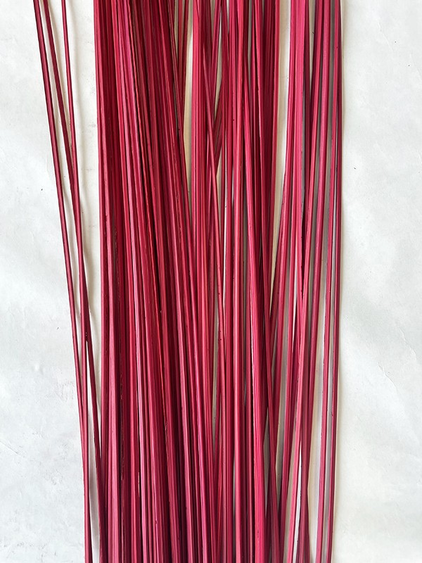 Wispies Pack of 100 Stems 4-5ft Red gallery