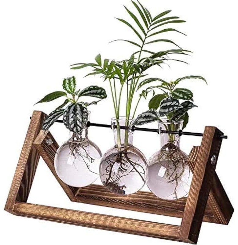 Propagation Station 3 Glass Bulb Vases with Wooden Stand for Indoor